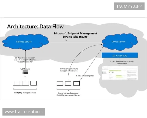 探索esball网址的安全性与用户体验分析